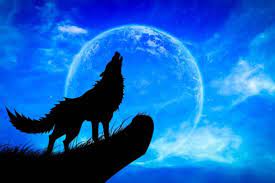 Sono i protagonisti principali del mondo di teen wolf. Il Rasoio I Licantropi E La Luna