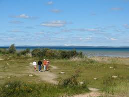 There is an absolutely exquisite view from any area in the restaurant. Old Mission Peninsula Park Traverse City Mi 49686