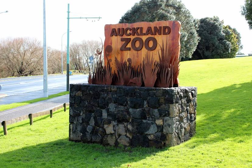 New Zealand Digital Marketing Company
