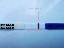 Pregnancy Tests Is There A Line Or Am I Imagining Things Parenting Advice Inspiration
