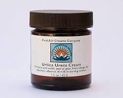 Image result for Urtica urens