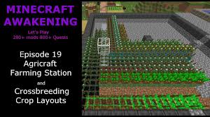 Cacti the size of a marble, which are usually about six months are okay for planting in pots. Agricraft Crop Breeding Guide Agricraft Crossbreeding For Newbies