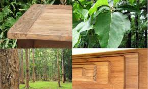 Maybe you would like to learn more about one of these? Acacia Vs Teak Wood And Straight Grain Vs Interlocked Grain Brandalyzer