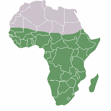 D'autant que les élites dirigeantes ont une forte tendance. Afrique Subsaharienne Wikipedia