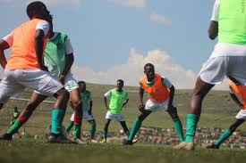 Former eagles punter cam johnson has roster movethe eagles are planning on signing s andrew adams. Vhj9gmf4jp0cm