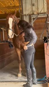 The Husband Followed His Wife to The Stable and Discovered Something  Shocking | TikTok