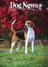If you have received a customer reply form with a pin, click on the transaction number link and follow the instructions to complete your application. Dog News November 15 2013 By Dog News Issuu