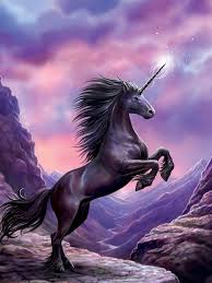 Beautiful unicorn in forest fantasy computer desktop wallpapers hd 2560×1600. Hd Unicorn Wallpapers Picserio Com