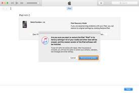 Solved What To Do If I Forgot Ipad Mini Password Fix With Top Ways In 2020 Ipad Mini Mini Mini Screen