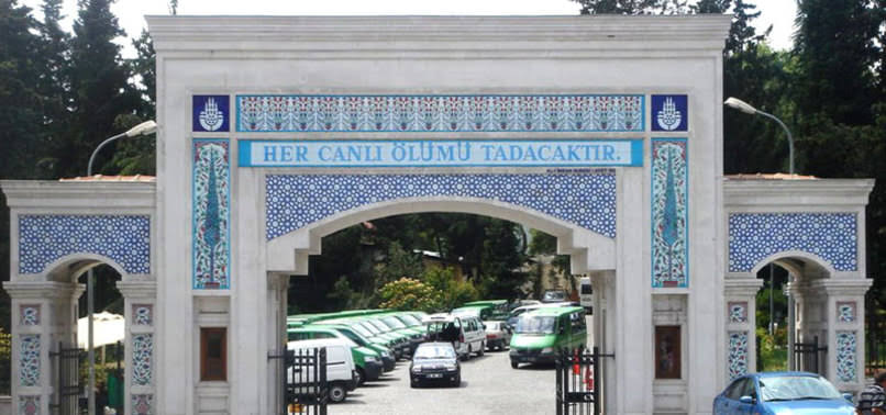 images?q=tbn:ANd9GcRCzEmCKZEHqsSpuoOI-6F