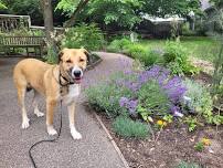 Dog Days — Fernwood Botanical Garden