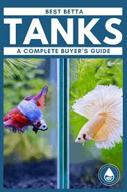 Best Betta Tanks A Complete Buyer S Guide In 2020 Betta Tank Betta Betta Fish Tank