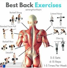 How to build a wide back. Are Pushups And Pull Ups A Good Idea For Warmup At The Gym Daily Quora