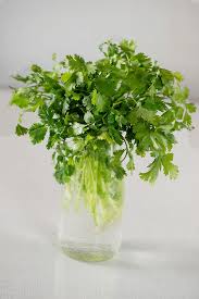 Fill a jar or glass partially with water and set the parsley in so that an inch or two of the stems are submerged. How To Store Coriander Cilantro And Keep It Fresh Longer My Tasty Curry