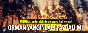 Volkanik patlamaların sebep olduğu orman yangınları. Orman Yanginlari Faydali Mi