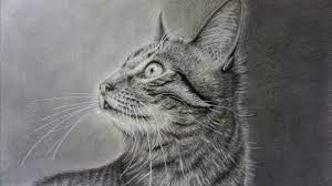 How to draw realistic cat eyes and cat fur with pencil using different techniques. How To Draw A Realistic Cat With Pencil Step By Step Youtube