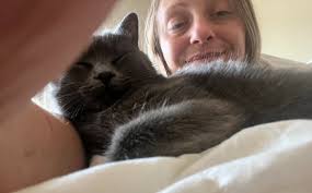 missing a beloved pet after receiving ashes