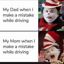 Driving Cat And The Hat Meme Best Funny Photos Funny Memes Funny Photos
