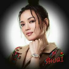 SHU QI FAN GROUP