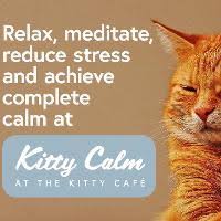 Kitty Cafe Nottingham Events