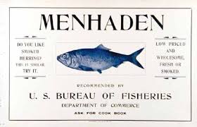 Menhaden1 Jpg 500 321 Wholesome Herring Sardines