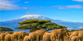 Welcome to tanzania, welcome to africa. Tanzania Selous Nature Reserve To Be Razed To Produce Electricity Afrik 21