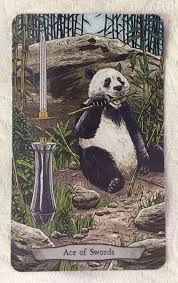 The giant panda, also known as the panda bear or simply the panda, is a bear native to south central china. Panda Animal Totem Tarot Unlocking Words