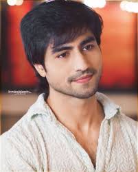 Danish Hashmi (dh3191391)