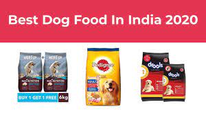 Moreover, the diet is phenomenal and makes up for the best meal for the dog of any breed and age. Best Dog Food In India 2020 Youtube