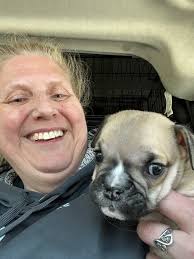 B-Squad Dog Rescue added a new photo.