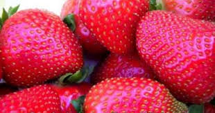 Learn About Fruit In French Words Phrases Listening Reading Practice Fruit Christmas Cocktails Recipes How To Pronounce