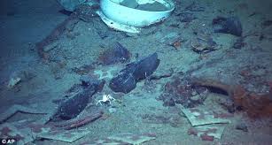 What happened to bodies left on Titanic surface after sinking?