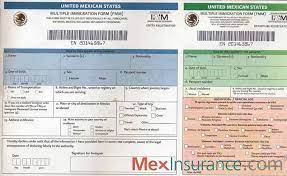 If you are either staying in mexico longer than 72 hours or traveling past the border zone you will need to pay the 190 peso tourist card fee. Mexico Tourist Visa Fmm Mexinsurance Mexico Insurance