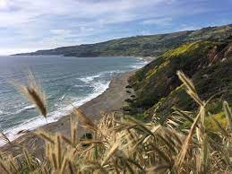 Trails in the reserve extension. Ocean Trails Reserve Picture Of Ocean Trails Reserve Rancho Palos Verdes Tripadvisor