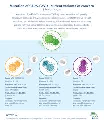 Sars was first reported in asia in february 2003. Infographic Mutation Of Sars Cov2 Current Variants Of Concern