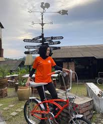 Knowing the types of the bicycle is very important as we need to know the actual function and purpose of the bike is used. Basikal Cruiser Low Rider Dan Chopper Malaysia Facebook