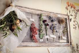 kaori0914さんの投稿 インテリア ドライフラワー 100均 ダイソー 100均リメイク diy ハンドメイド 花のある暮らし ドライフラワーのある暮らし ドライフラワー ドライフラワー 飾り方 ハンドメイド