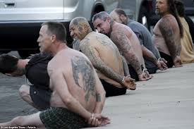 Mongols mc patch logo mongols mc history. 23 Members Of Biker Gang Vagos Arrested In Police Raids Daily Mail Online