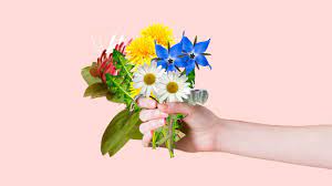 Check spelling or type a new query. 11 Edible Flowers With Potential Health Benefits