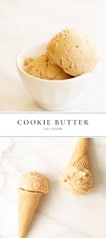 Cookie Butter Ice Cream Homemade Cookie Butter Chocolate Ice Cream Recipe Butter Cookies