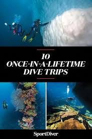 Pin On Scuba Diving Art