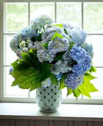 Is a diversified media and merchandising company founded by martha stewart and owned by marquee brands. New Beautiful Blooms How To Book Martha Stewart Beautifulnow