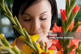 Bio Market Stock Photo