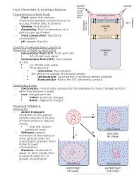 Fluid Electrolyte Acid Base Balance Fluid Electrolyte Amp Acid Base Balance Studocu