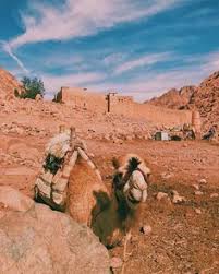 Catherine monastery situated at the base of the mountain sinai, the mountain where moses received the ten commandments, st catherine's monastery is one of the most famous. 44 Ancient Monastery Of St Catherine S Sinai Ideas Monastery Catherines Ancient
