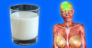 Why We Should Drink Milk Before Going To Bed