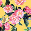 Pink and yellow flowers together. 3