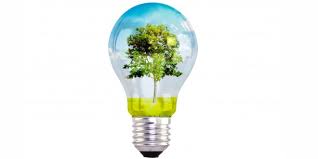 Looking for meaningful quotes to add some inspiration into your everyday life? Environment Slogans For Students And Children Kids Portal For Parents