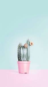 The description of cactus aesthetic wallpaper app. 2019 Cute Wallpaper Girly Wallpaper Free Pretty Iphone Backgrounds