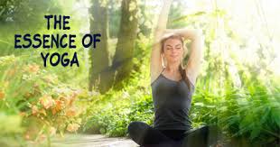 Yoga provides many other mental and physical benefits, and once . Importance Of Doing Yoga Benefits Of Yoga